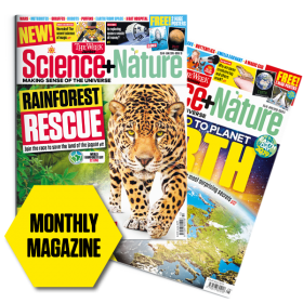 TRY 3 ISSUES FOR JUST £5