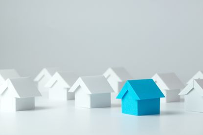 one blue house surrounding by white houses