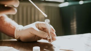 Gloved hand dips a Cotton Swab in a Transparent Tube in Clear Solution