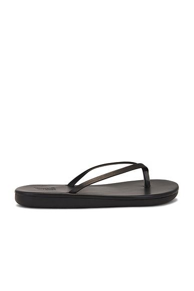Saionara Flip Flop