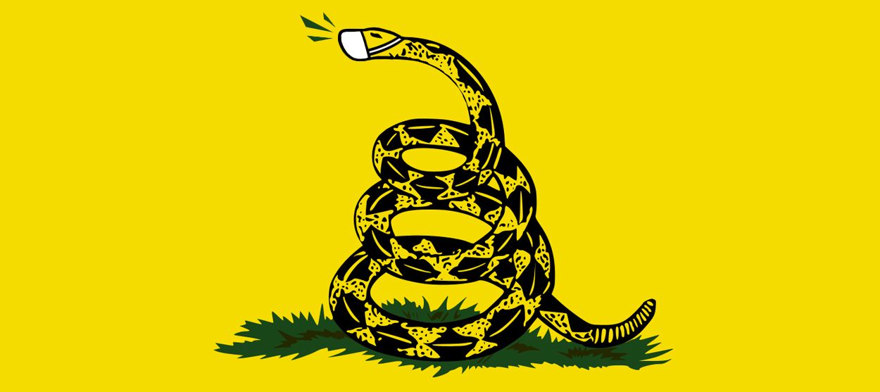 The Gadsden Flag.