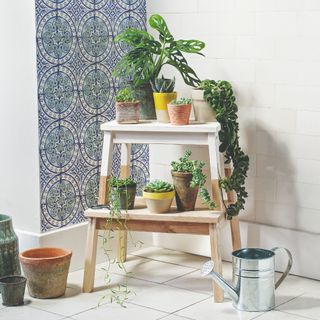Stool with houseplants and watering can