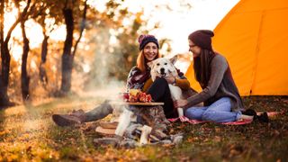 Two women camping with a dog