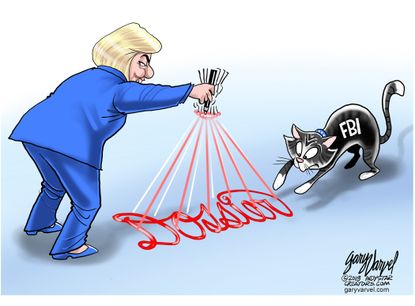 Political cartoon U.S. Hillary Clinton FBI Steele dossier
