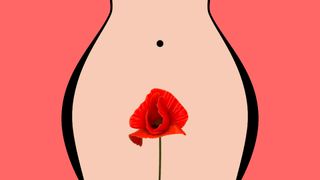 an illustration of a woman with a flower in front of her bikini line