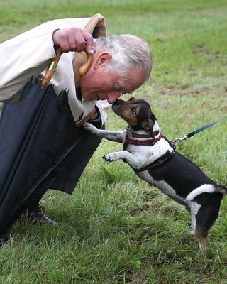 King Charles bending down in grass to let his dog, Beth, touch his nose