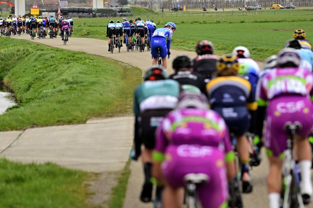 The Scheldeprijs peloton split in the cross winds