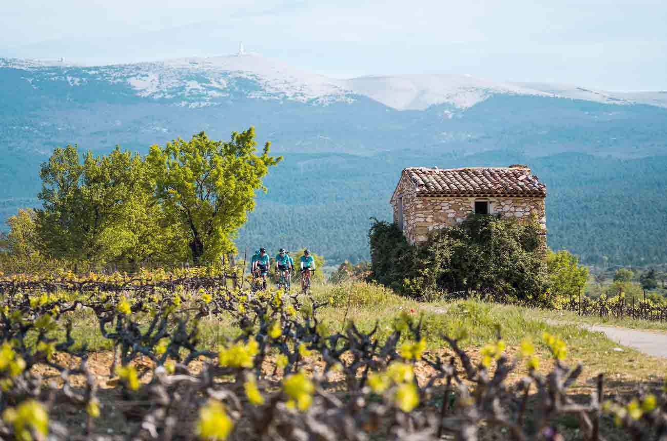 Mont Ventoux&amp;rsquo;s legendary status among the cycling community &amp;ndash; as one of the toughest climbs in the Tour de France