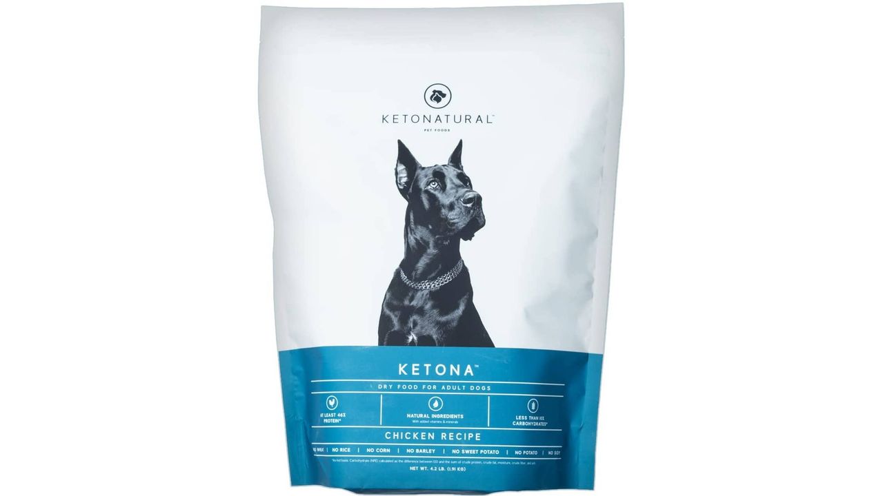 Best diabetic dog food