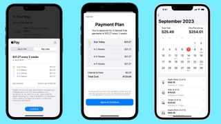 Apple Pay Later on iPhone