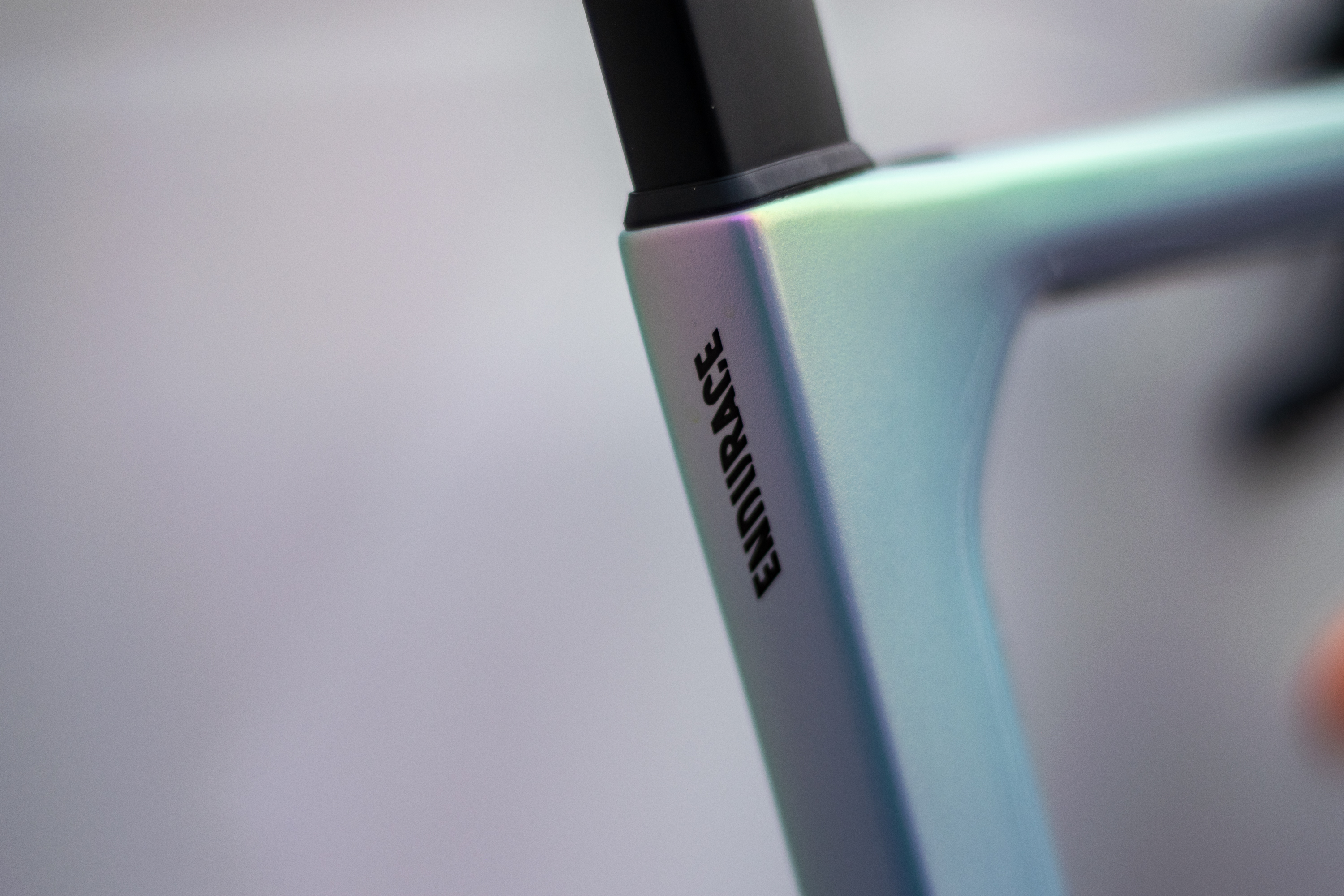 Cañón París-Roubaix Endurace CFR por Jasper Philipsen