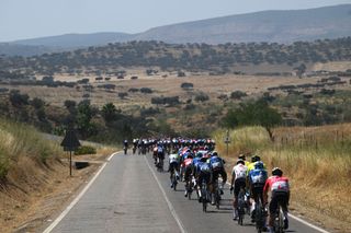 FUENTE DEL MAESTRE SPAIN AUGUST 21 A general view of the peloton competing during La Vuelta 79th Tour of Spain 2024 Stage 5 a 177km stage Fuente del Maestre to Seville UCIWT on August 21 2024 in Seville Spain Photo by Dario BelingheriGetty Images