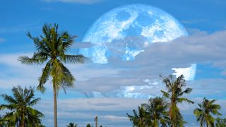 July Full Moon 2022: Super harvest blue moon and coconuts trees in the field, Elements of this image furnished by NASA
