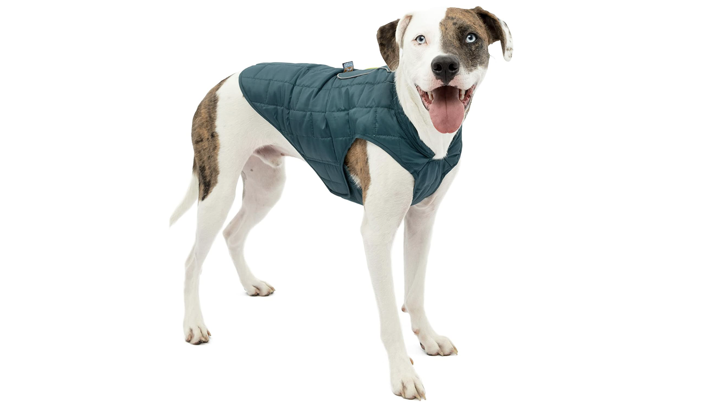 Kurgo Loft Dog Coat with harness hole