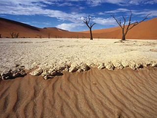 Namib Sand Sea