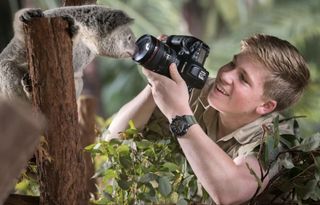 Rob Irwin photographing a koala