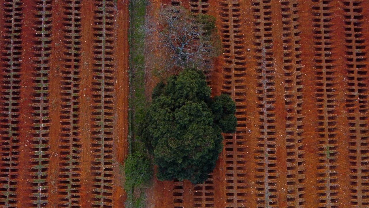 Open graves dug during the Covid pandemic in Sao Paolo, Brazil