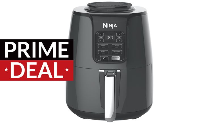 Ninja AF100UK Air Fryer Amazon Prime Day deal
