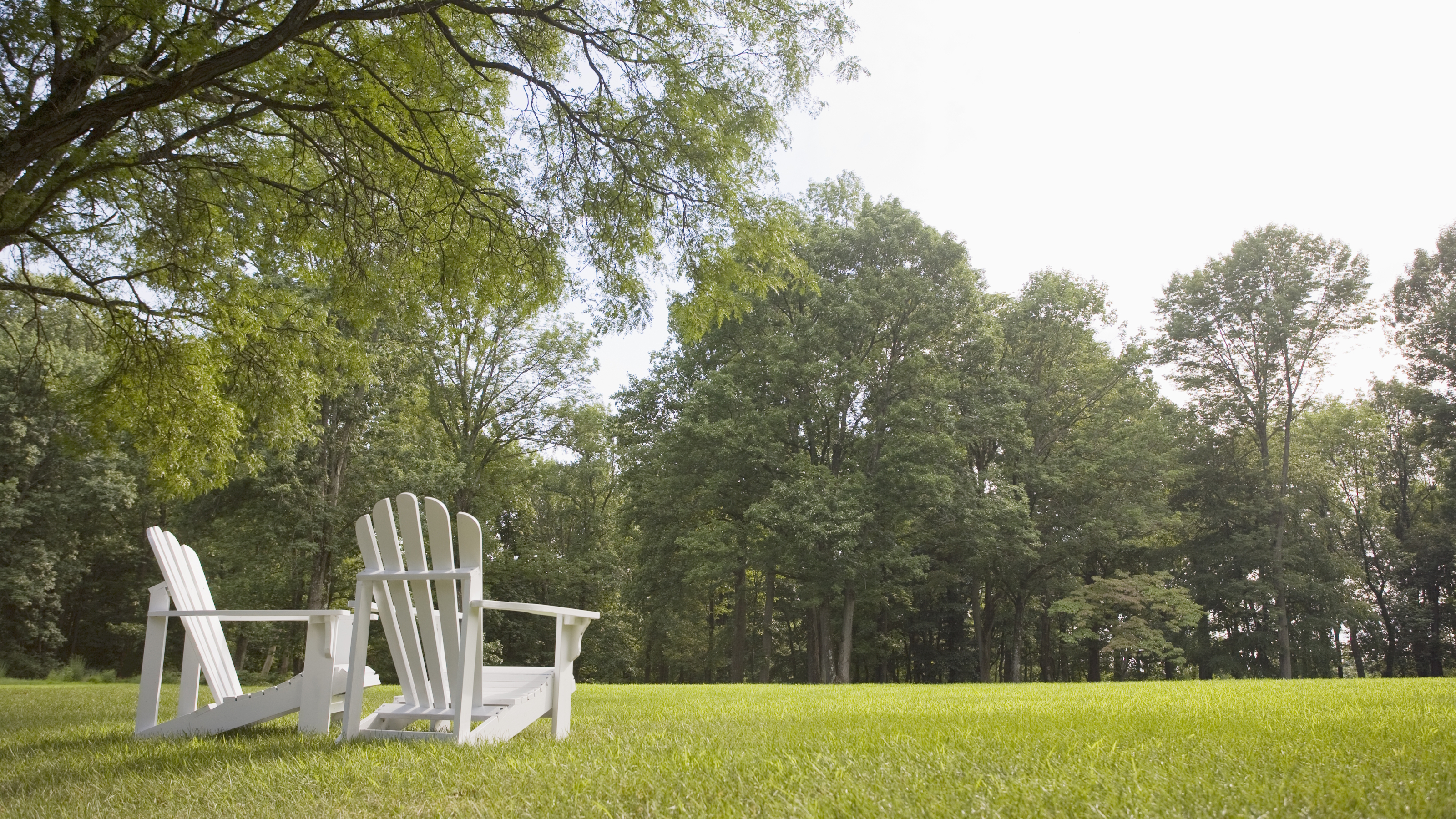 A pair of white chairs sits looking out over a green lawn in the summer