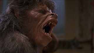 An American Werewolf In London