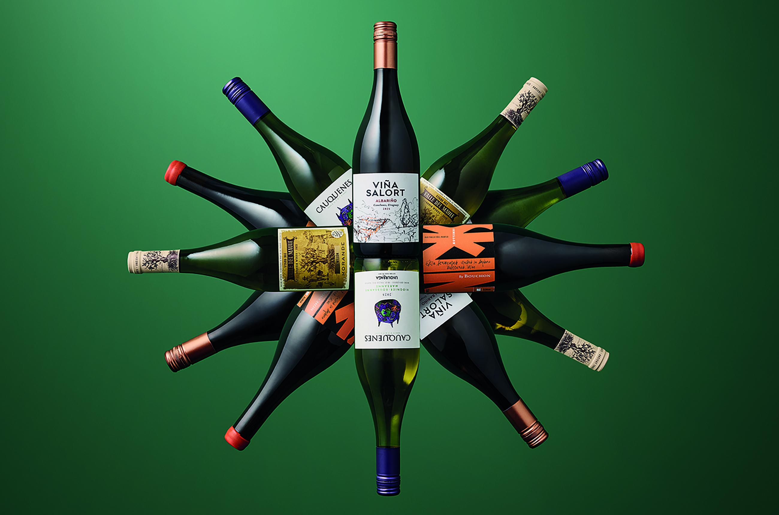 Circle of wine bottles