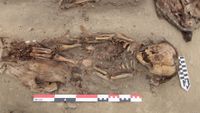 A photo of the bones of a 1.5 year old child in the dirt