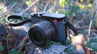 A Leica Q3 43 camera sitting on a wooden log surrounded by ivy