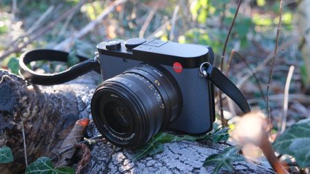 A Leica Q3 43 camera sitting on a wooden log surrounded by ivy
