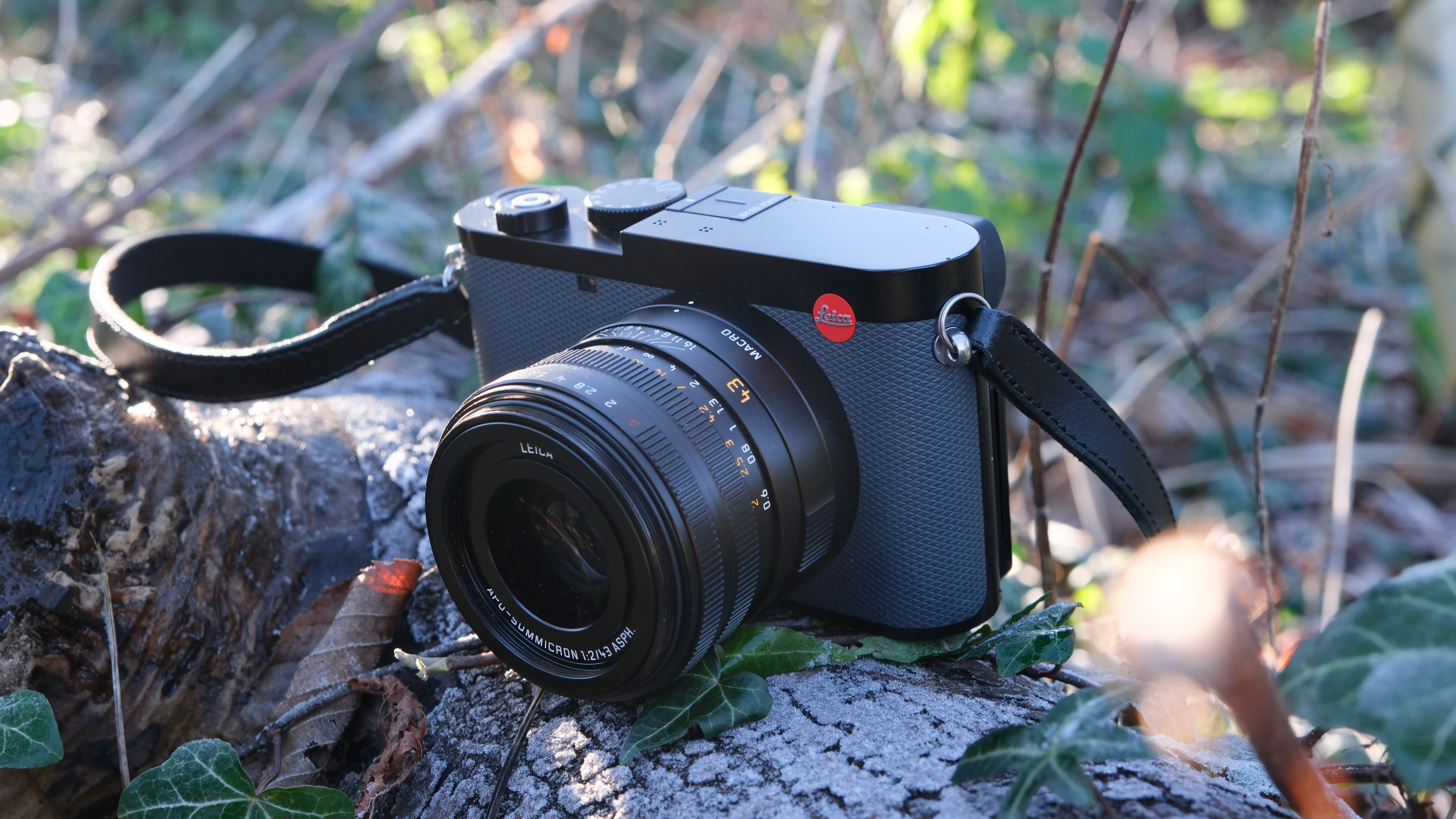 A Leica Q3 43 camera sitting on a wooden log surrounded by ivy