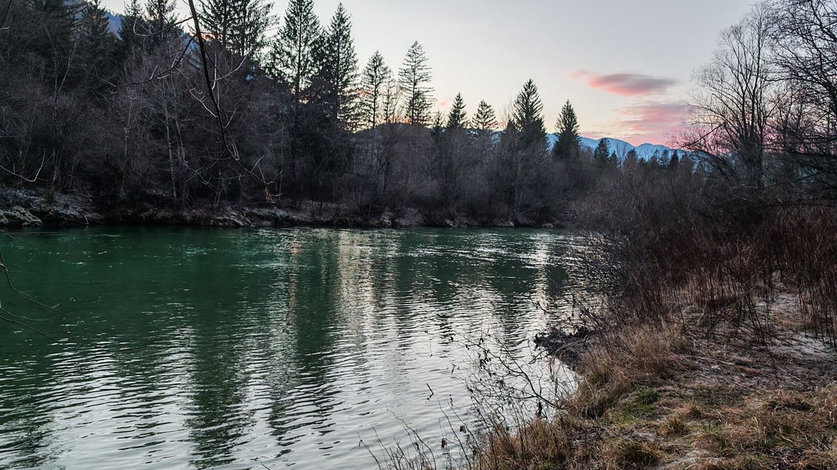 Camera Phone shootout: Honor Magic 7 Pro photos