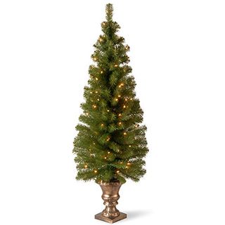 National Tree Company Pre-Lit Artificial Christmas Tree for Entrances | Includes Pre-Strung White Lights and Stand | Montclair Spruce - 5 Ft