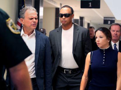 tiger woods pleads guilty