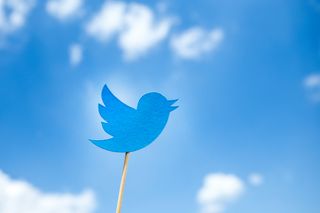 Paper cut Twitter icon on wooden stick on blue sky background