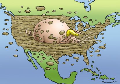 Political cartoon U.S. Donald Trump and America