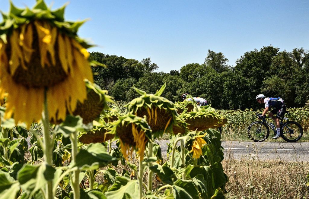 Tour de France Tournesol