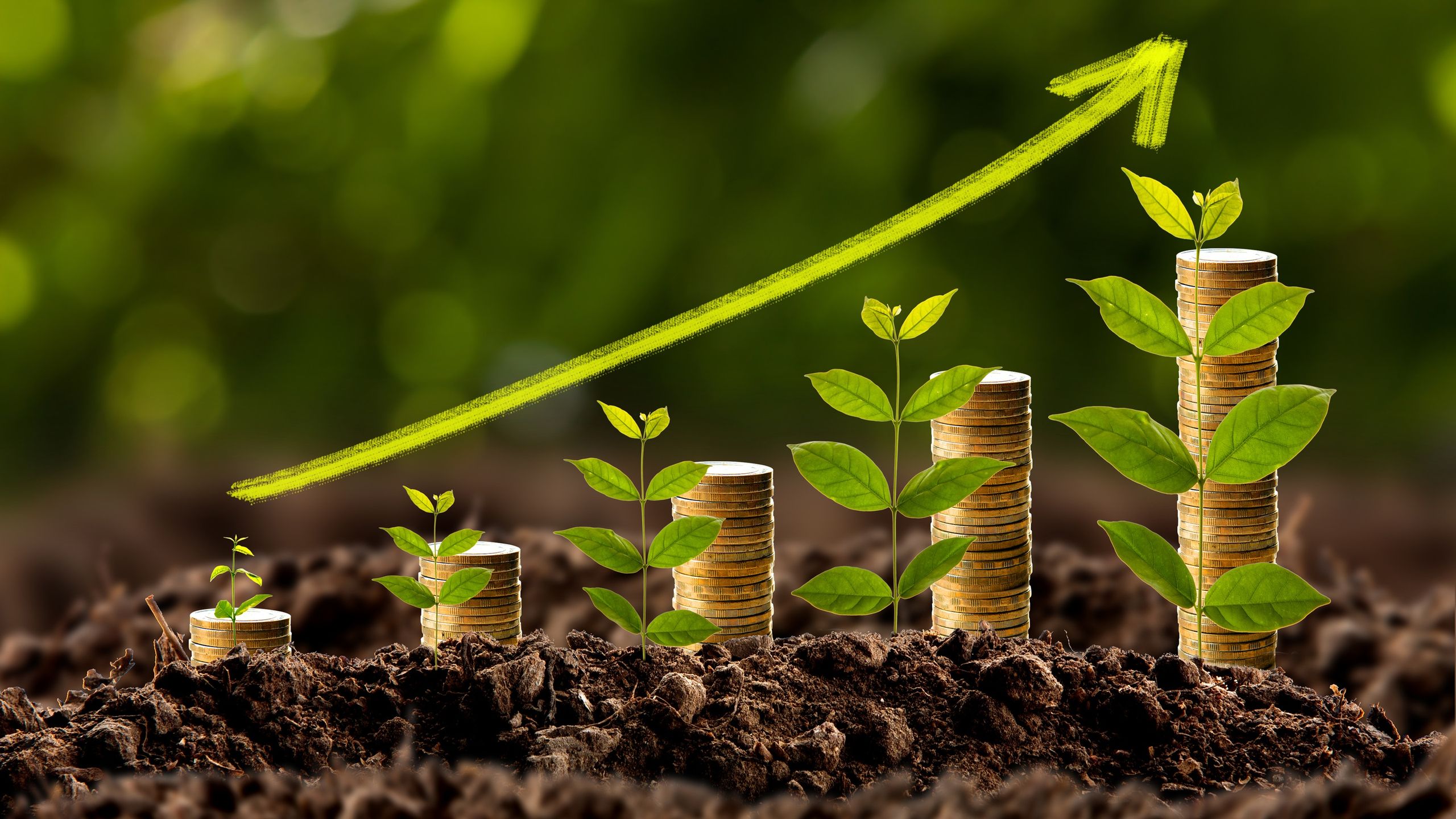 The Strategy You Need to Beat Inflation and Build Wealth The Strategy You Need to Beat Inflation and Build Wealth