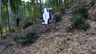 Four-legged robot in hilly terrain.