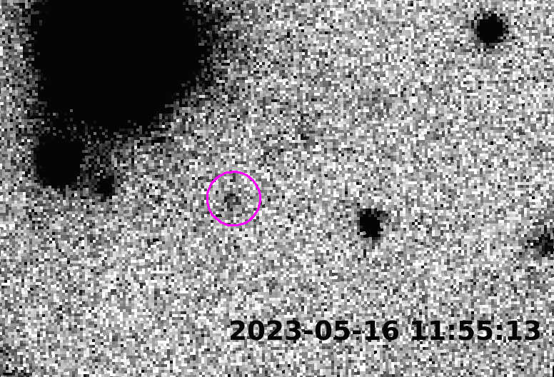 An animation showing the movement of the Sednoid nicknamed Ammonite over a period of several hours