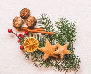dried oranges slices with gingerbread stars