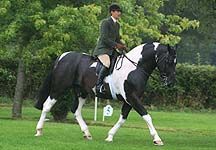 Jayne-Webber-The-Humdinger1.JPG