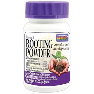 Bonide rooting powder