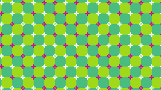 The Primrose's Field optical illusion