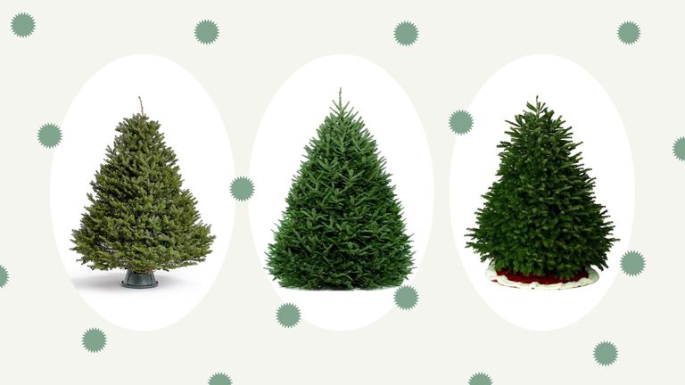 a collage image of some of the best real Christmas trees in our guide