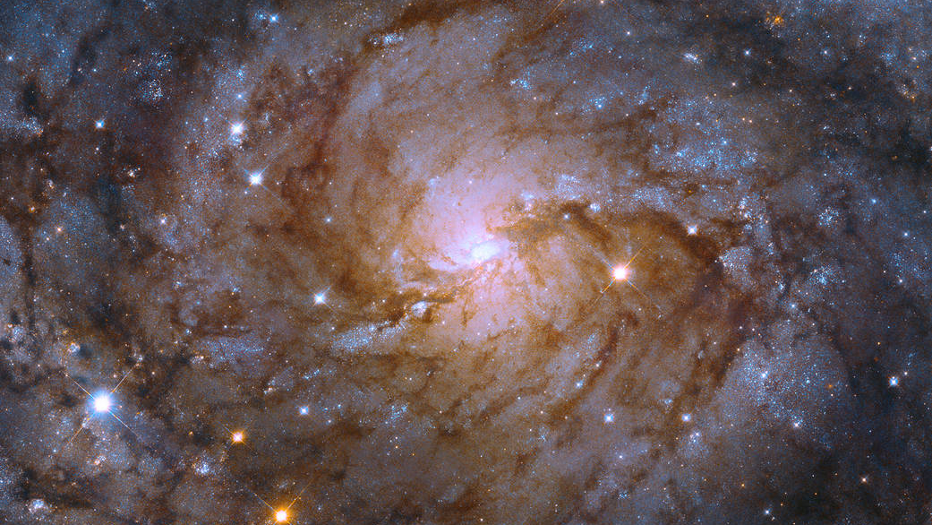 The spiral galaxy IC 342 with stars and dust lanes as seen by the Hubble Space Telescope.