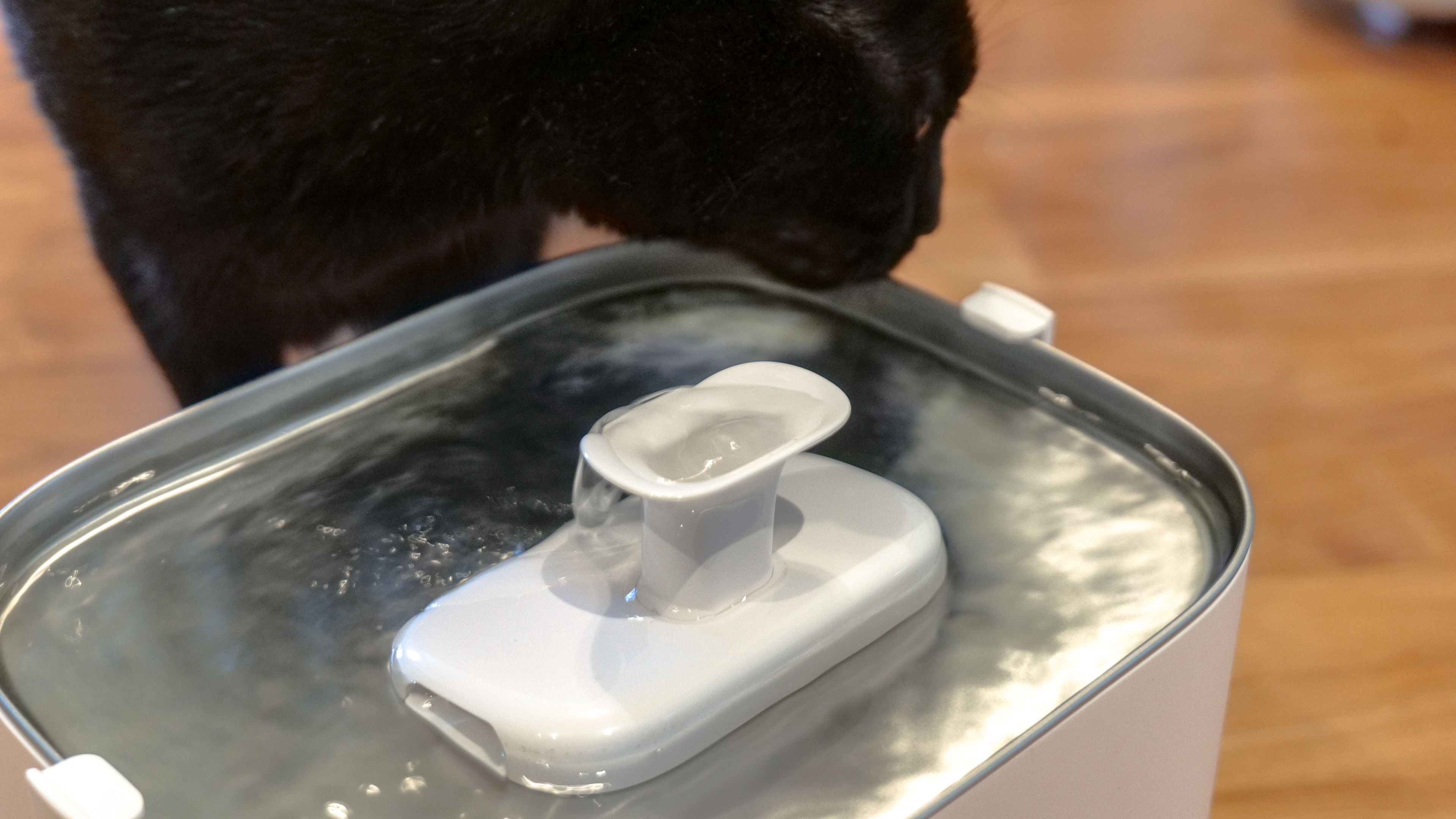 Cat drinking from Petlibro Dockstream Smart Water Fountain.