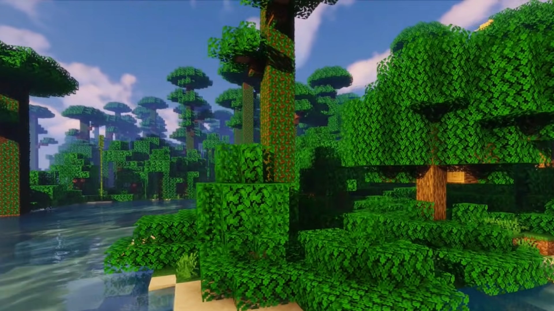 A bamboo jungle Minecraft seed with trees and water