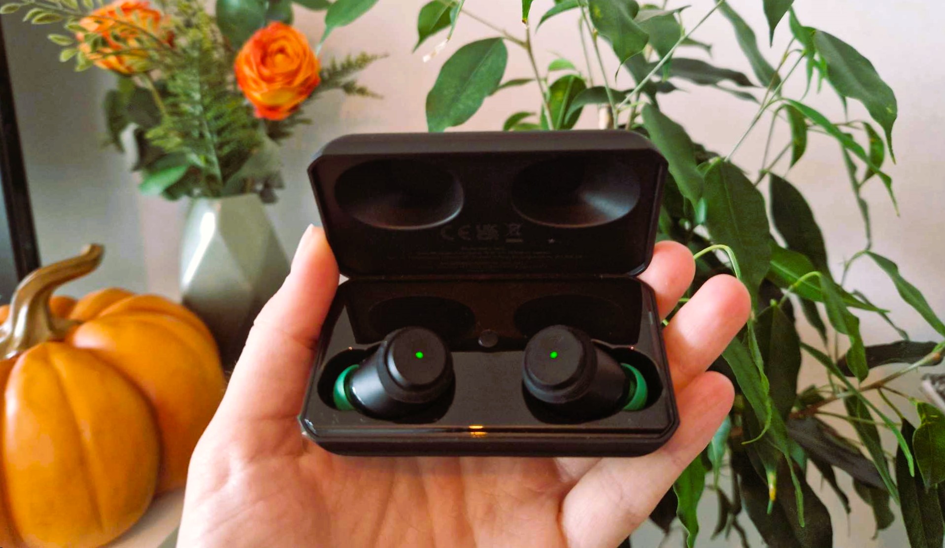 En hand håller upp ett par Doro Hearingbuds som ligger i deras tillhörande laddningsfodral, framför ett par växter i höstfärger.