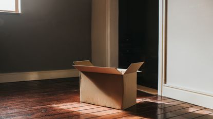 Cardboard box in sunlit room 