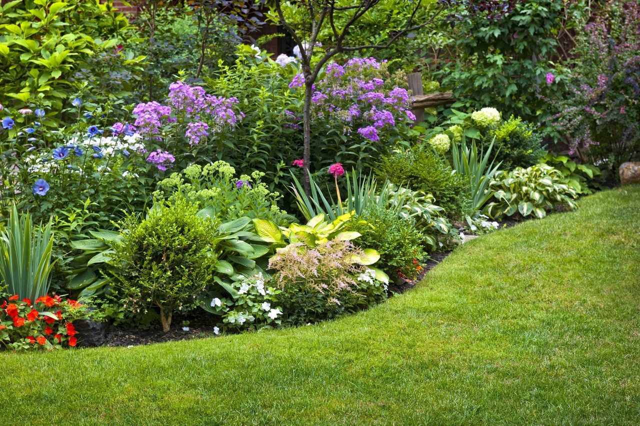 Plant And Flower Garden Along Grass Area