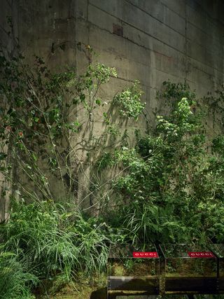 Gucci Cruise 2025 Show Set featuring plants against concrete show set at Tate Modern